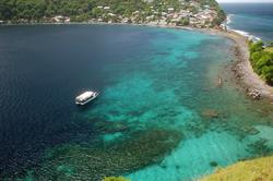 Dominica Scuba Diving Holiday - Caribbean.